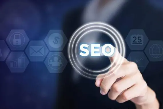 網站<a href='http://www.taipn.com/seo'>seo優化</a>,seo網站優化,SEO網站優化